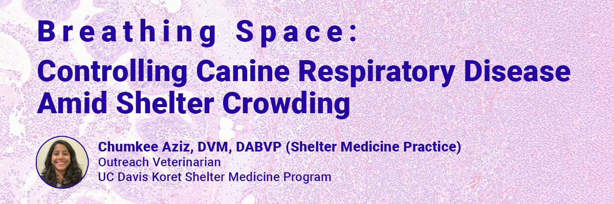 MMPC Learniverse - Breathing Space: Controlling Canine Respiratory Disease Amid Shelter Crowding  (On Demand)