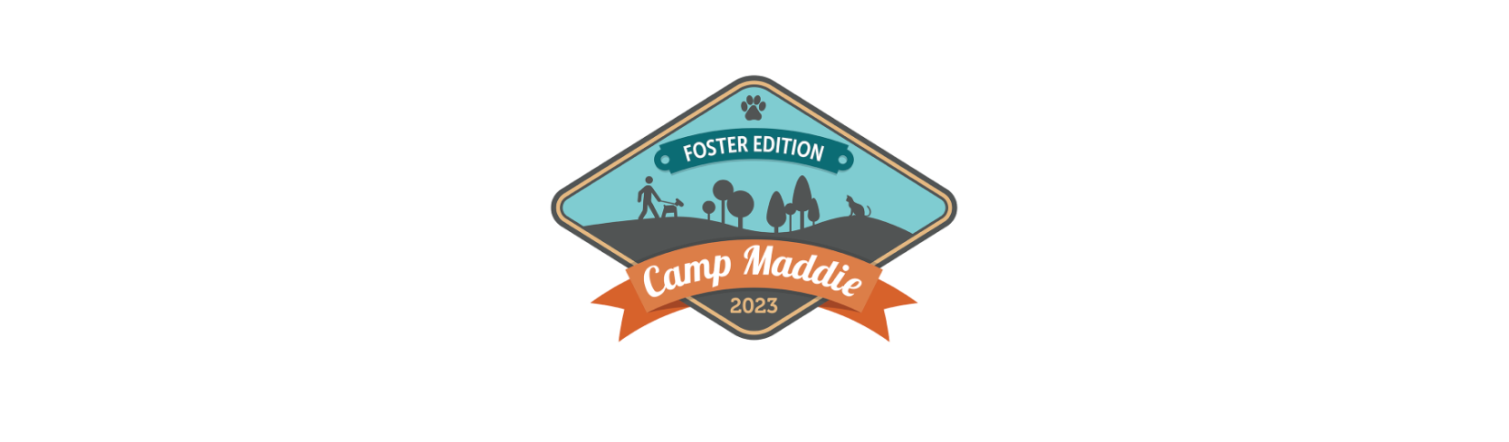 Camp Maddie: Foster Edition - Special Foster Initiatives