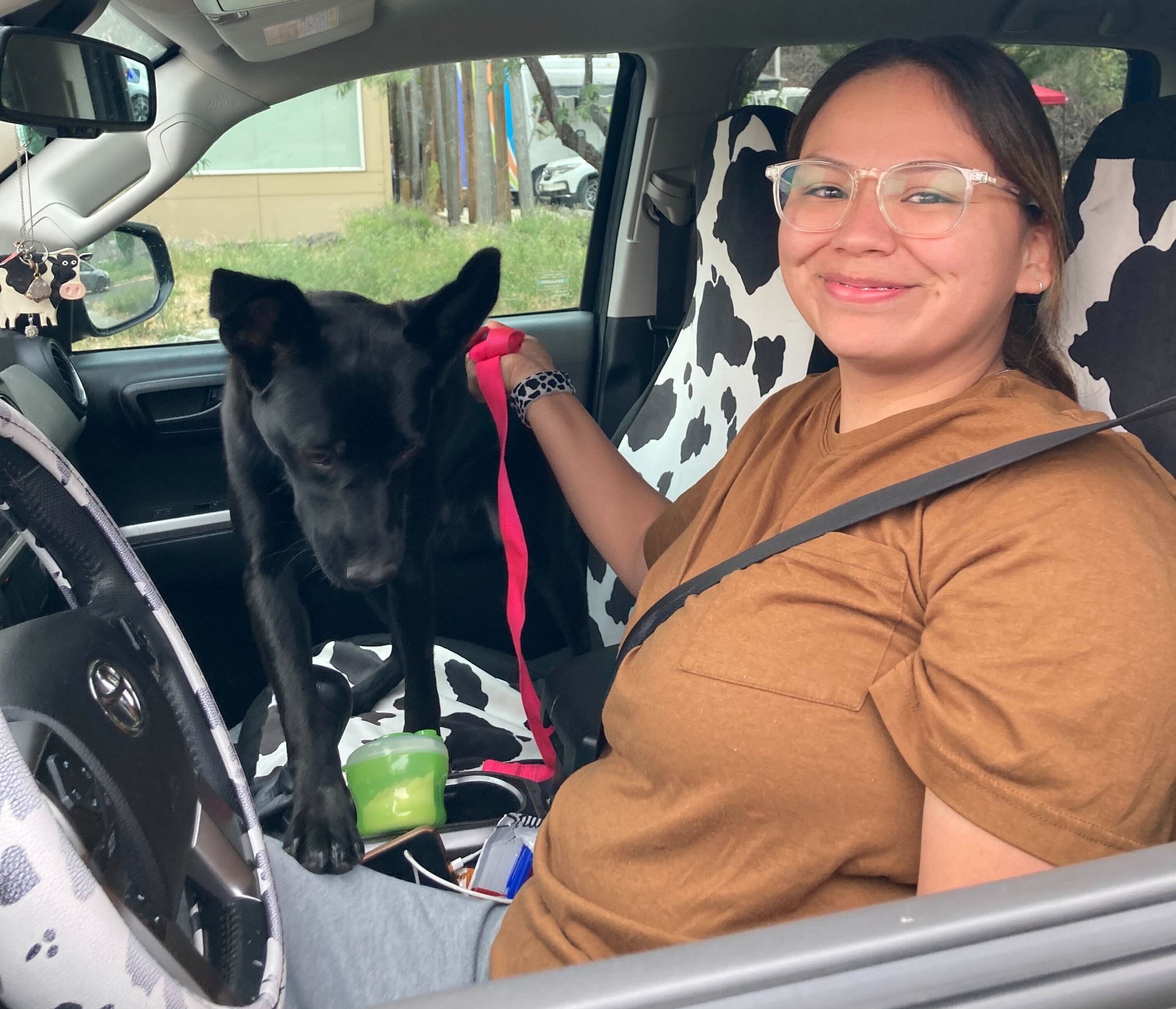 The Rez Clinic Manifesto: How to deliver high volume spay/neuter veterinary care on Native American reservations in a sustainable, impactful and culturally sensitive way