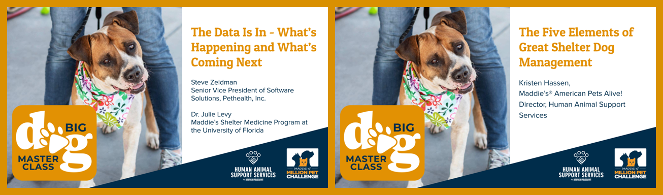 Big Dog Master Class Block 2 - The Big Picture: Building Better Dog Management Programs (60 minutes total)