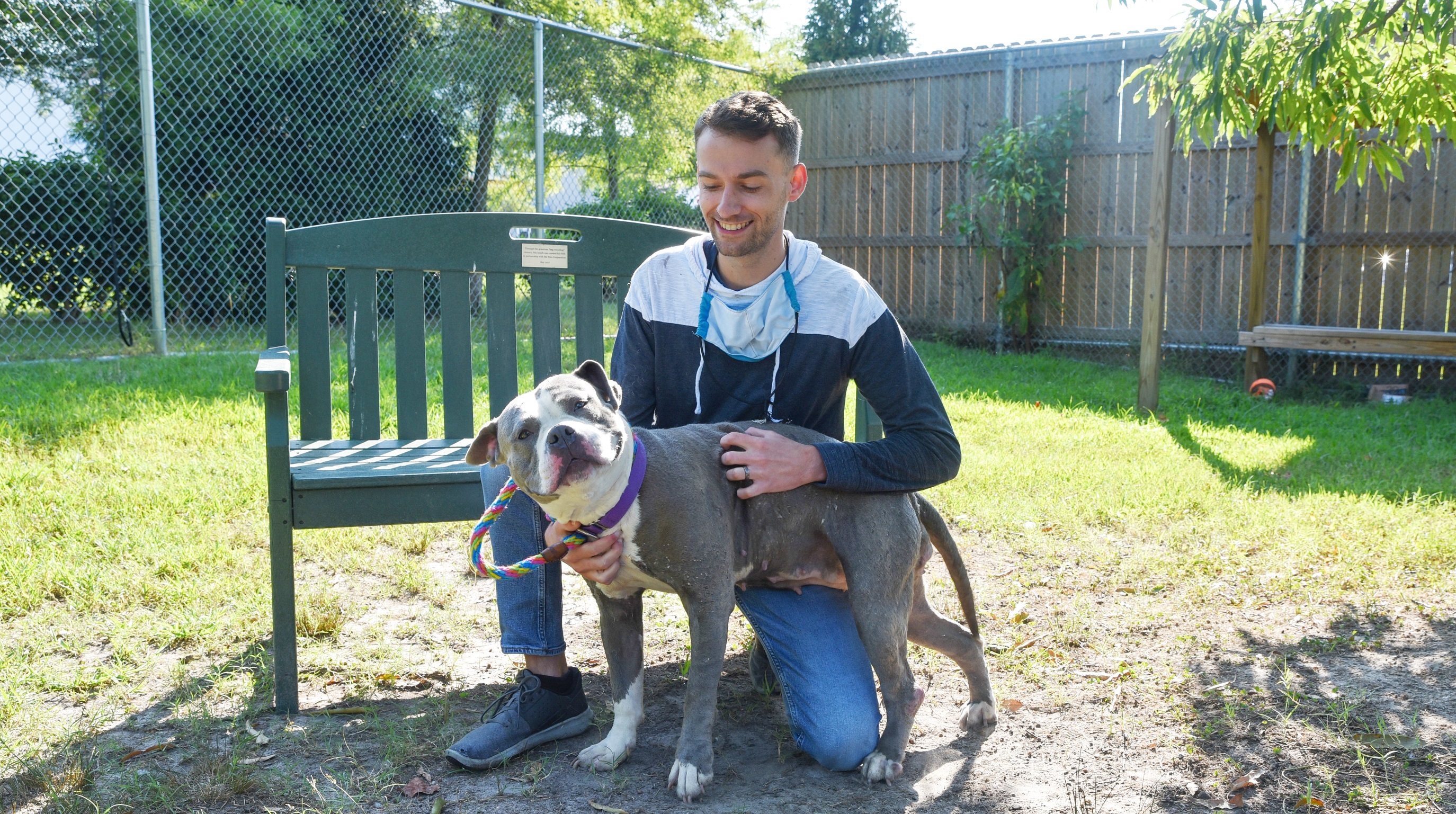 Dog Behavior Collection: Program Management
