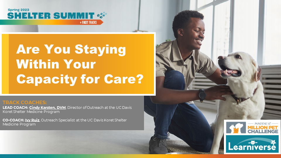 Are You Staying Within Your Capacity for Care? You Might Be Surprised! - Fast Track for Spring 2023 Shelter Summit
