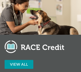 female african american veterinarian with dog
