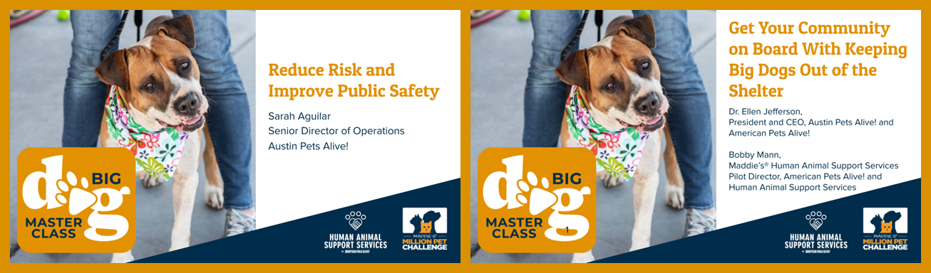 Big Dog Master Class Block 6 - Gaining Public Support for Saving Big Dogs (50 minutes total)